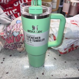 Stanley 30 oz feather green tumbler